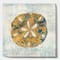 Designart - Coastal Pastel seashells II - Vintage Nautical Canvas Artwork